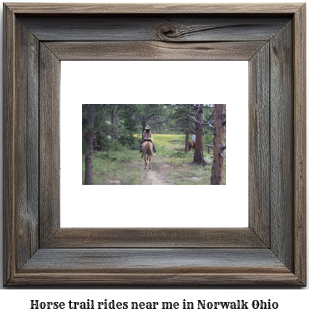 horse trail rides near me in Norwalk, Ohio